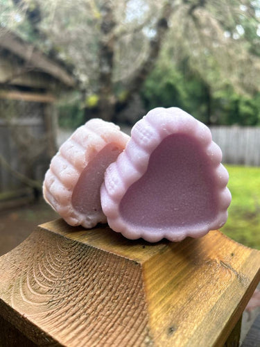 Conditioner Bar Hibiscus Blackberry